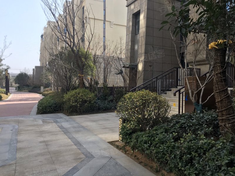 亚太时代广场,航海东路1210号-郑州亚太时代广场二手房,租房,房价