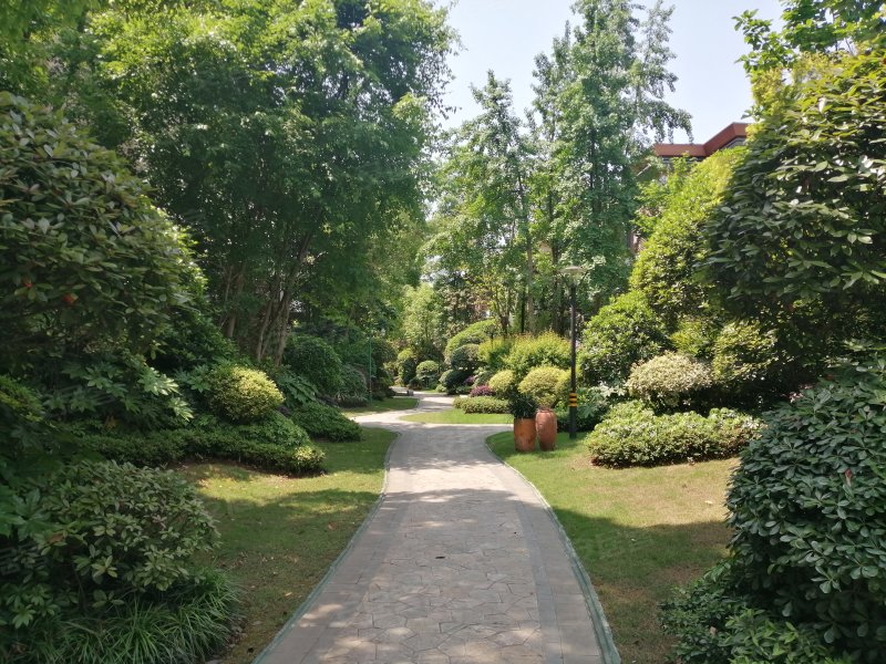 碧桂园生态城,酒谷大道三段