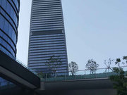 东方之门 出国急售 今年 婚装 3房湖景 视野景观好,东方之门二手房,76