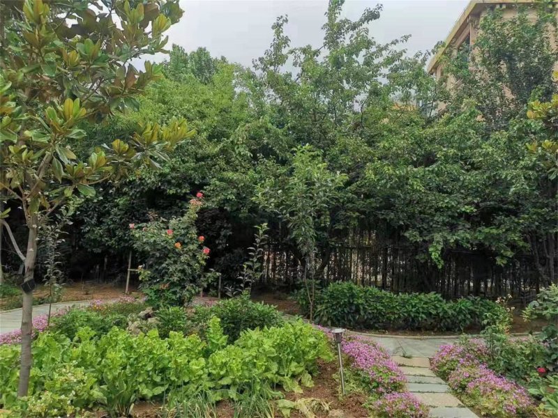 宝龙城市广场独栋别墅,环山路-泰安宝龙城市广场独栋别墅二手房,租房