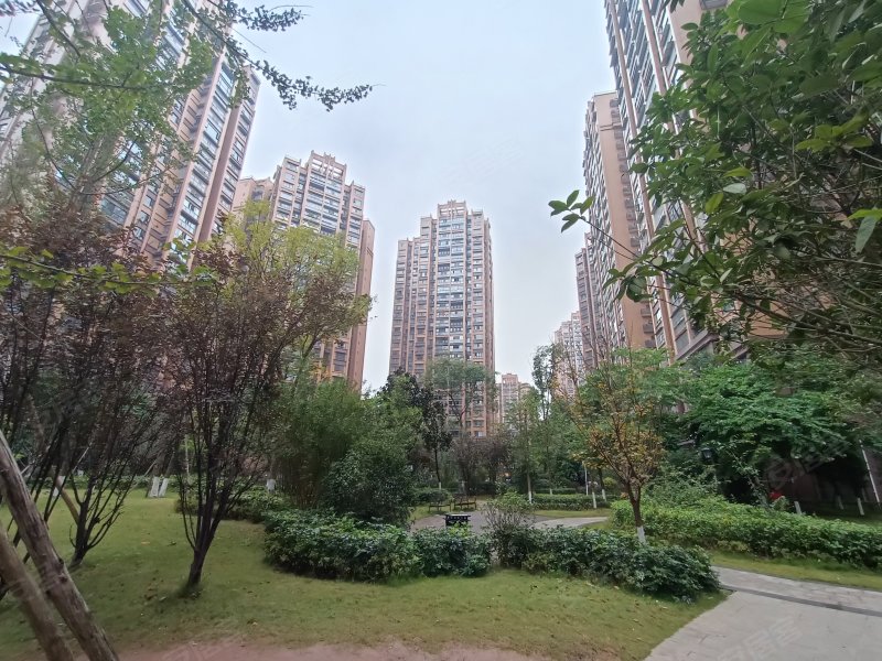 永兴国际公馆b区