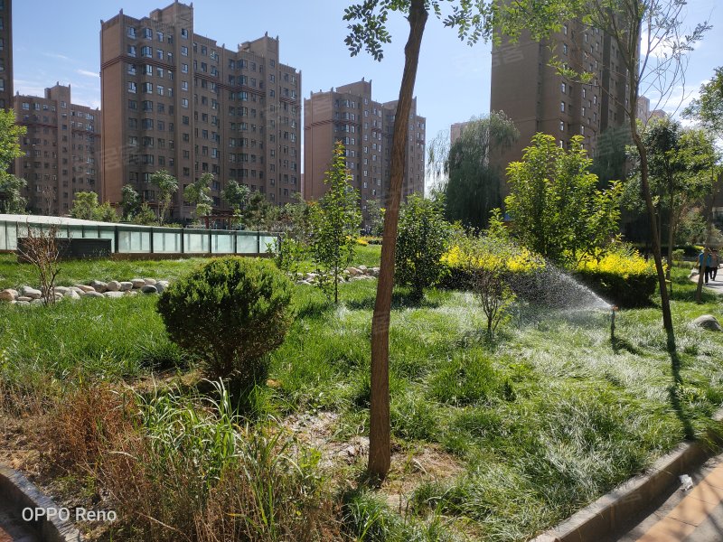 嘉和苑,临泽北路-张掖嘉和苑二手房,租房,房价-张掖安居客