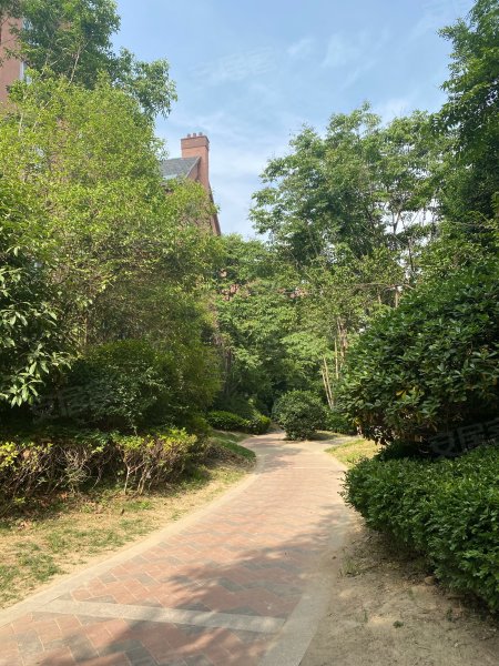 森林半岛(南区),一大街-开封森林半岛(南区)二手房,租房,房价-开封