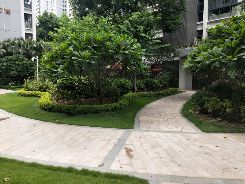 新洲香樟美地,汕樟路128号-汕头新洲香樟美地二手房,租房,房价-汕头