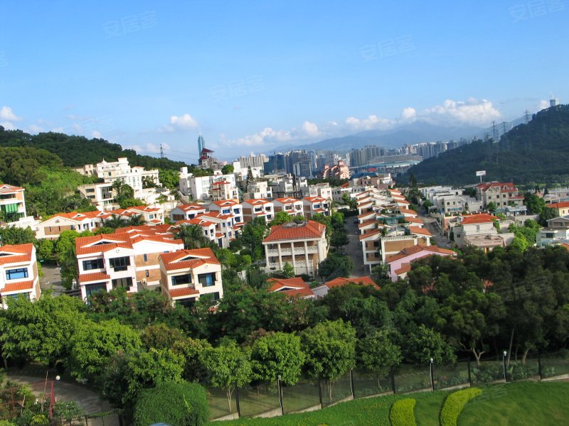 颐园,银湖路8号-深圳颐园二手房,租房,房价-深圳安居客