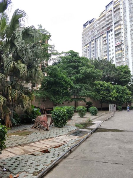 世贸西城,大学东路98号-南宁世贸西城二手房,租房,房价-南宁安居客