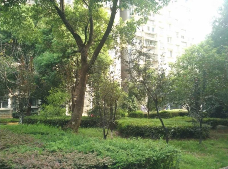 红谷世纪花园b区