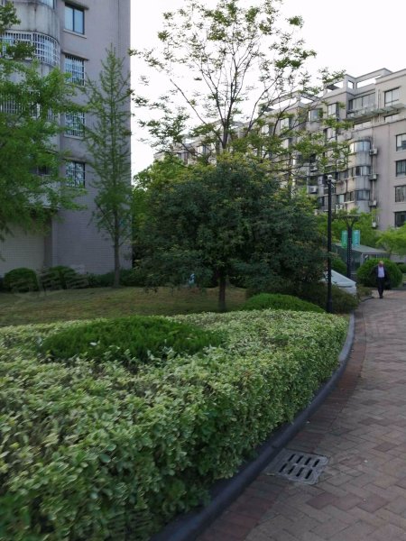 嘉州美都(五期欢聚园)