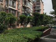 外金沙小区图片