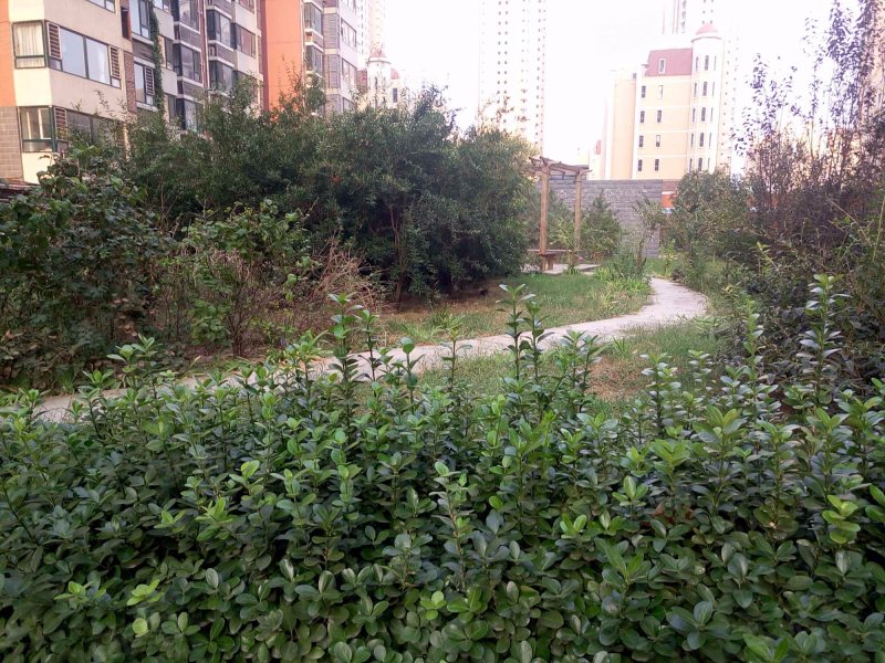 中城蓝溪谷,东二环南路-石家庄中城蓝溪谷二手房,租房,房价-石家庄