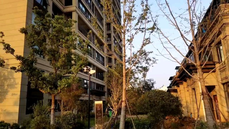 中梁东湖壹号院(别墅)