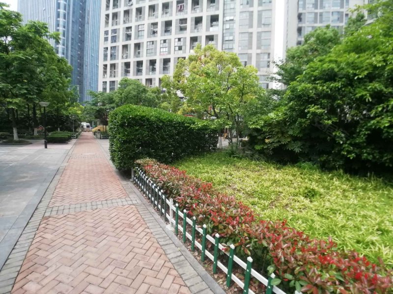 禹洲金桥国际三期 