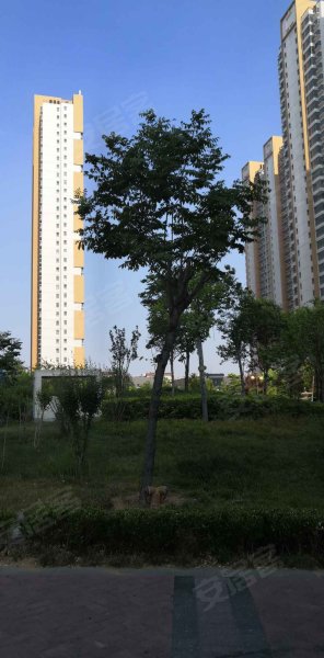 鑫源国际城,东滩路1789号-阳泉鑫源国际城二手房,租房,房价-阳泉安居