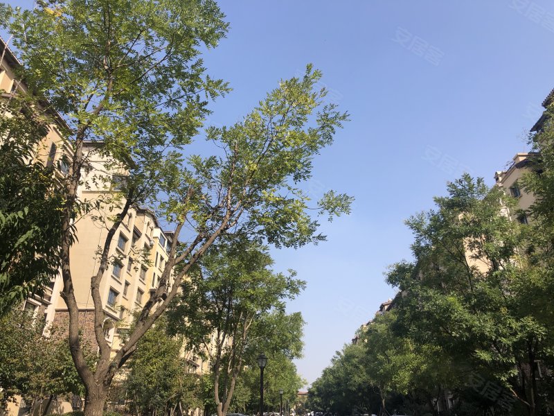 龙湖香醍漫步,蒲丰路46-96号-沈阳龙湖香醍漫步二手房,租房,房价-沈阳