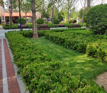 观承别墅望溪(南区)