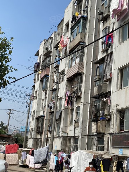 天兴洲绿岛小区