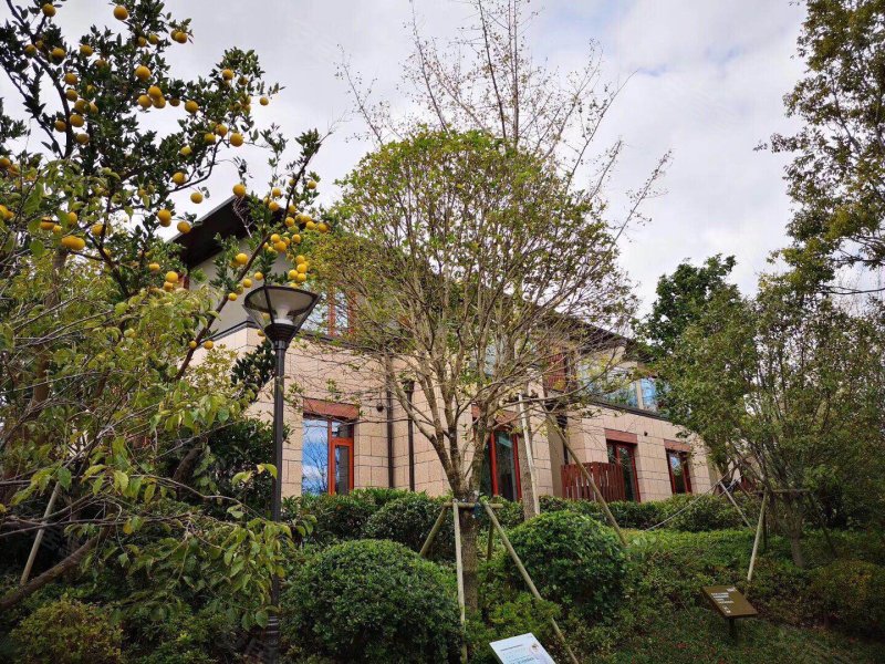 东滩花园,揽海路7弄-上海东滩花园二手房,租房,房价-上海安居客