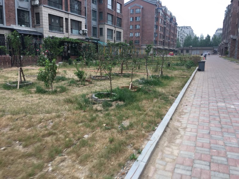 君临蓝桥郡,北一西路31甲号-沈阳君临蓝桥郡二手房,租房,房价-沈阳