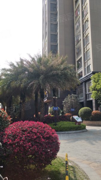 永鸿国际文化城,南一环路,近东一环路-莆田永鸿国际文化城二手房,租房