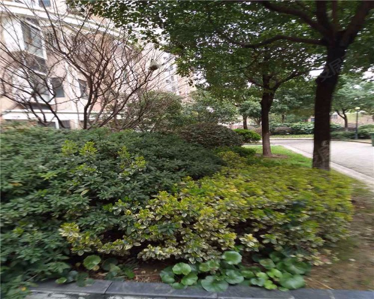 虞山国际花园,黄河路-苏州虞山国际花园二手房,租房,房价-苏州安居客