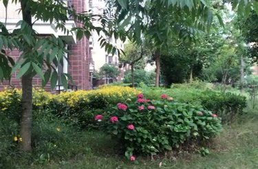 鹭岛华庭东苑 金淼路759弄 上海鹭岛华庭东苑二手房 租房 房价 上海安居客 鹭岛华庭东苑 金淼路759弄 上海鹭岛华庭东苑二手房 租房 房价 上海安居客