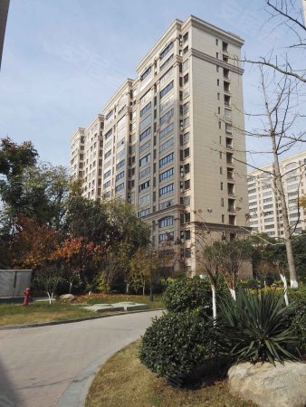 徐州二手房 丰县二手房 丰县城区二手房 欢乐城