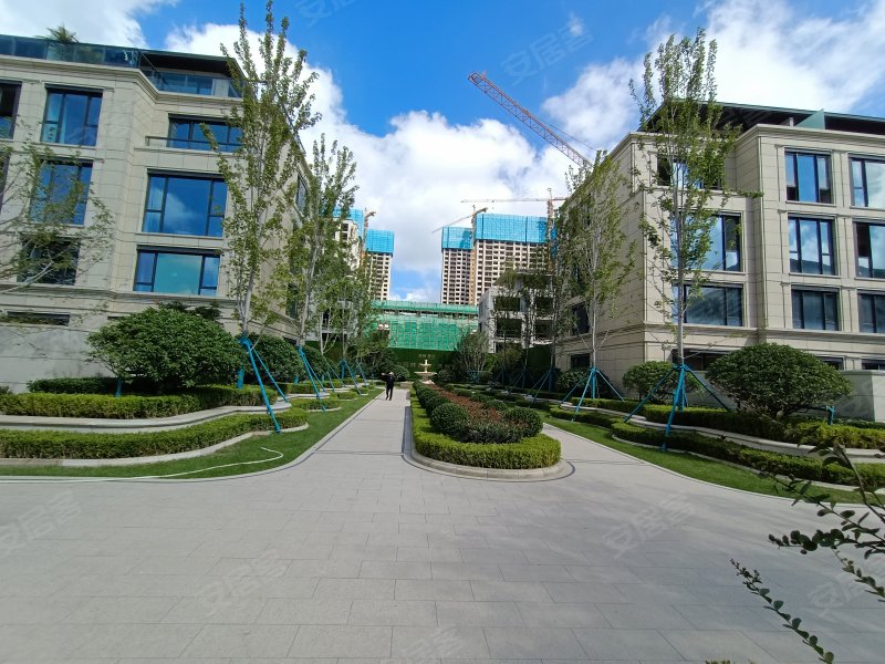 鲁商金茂观海印象,观海路-烟台鲁商金茂观海印象二手房,租房,房价