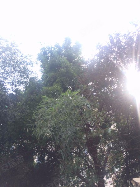 恒大星级公寓(二期) 