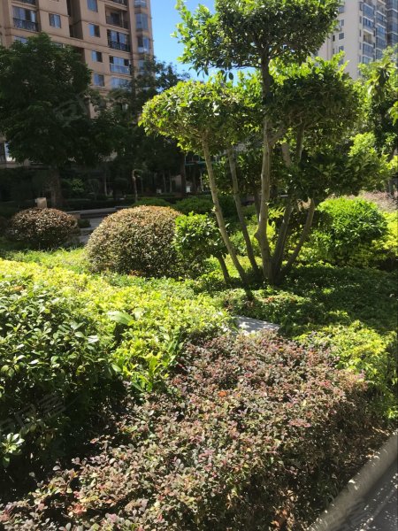 蔚蓝国际(长乐市)