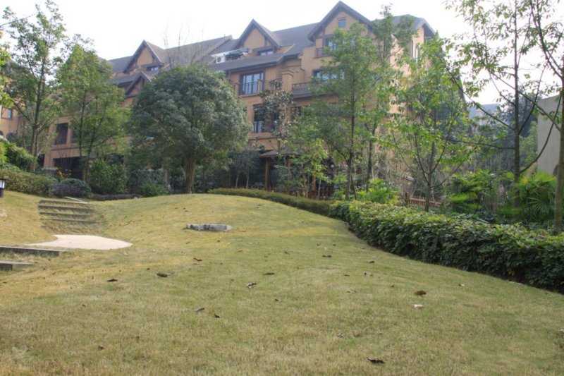 绿地翠谷(别墅),湖云街1号-重庆绿地翠谷(别墅)二手房,租房,房价-重庆