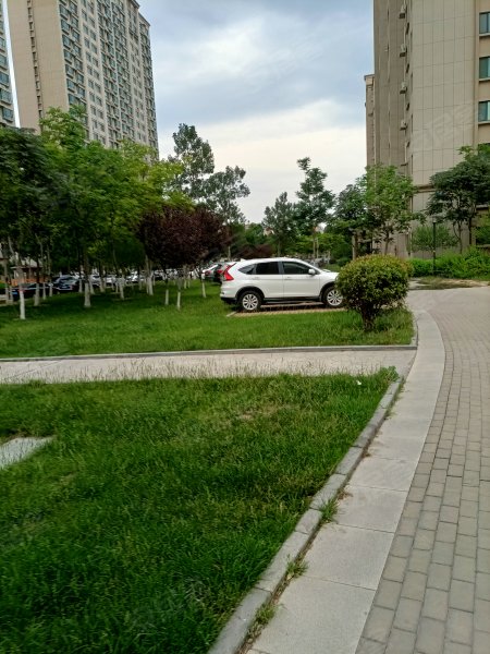胜利花苑丁香园