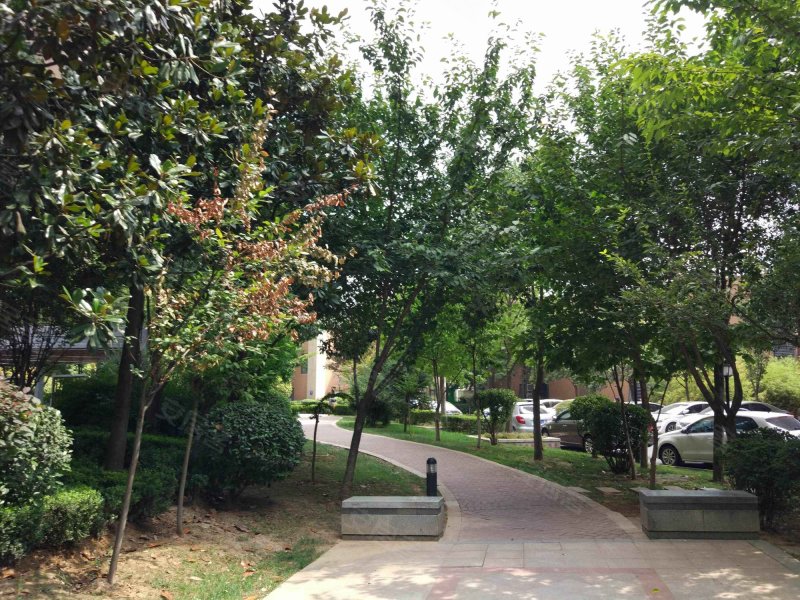 中海观园b区,曲江大道169号-西安中海观园b区二手房,租房,房价-西安