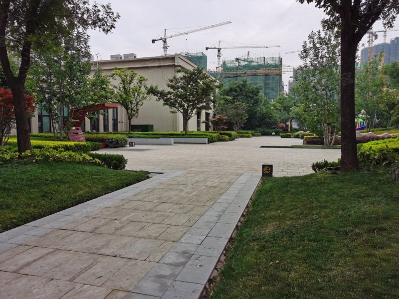 海马青风公园