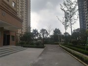 保持的不错!凌波桥南18年新小区