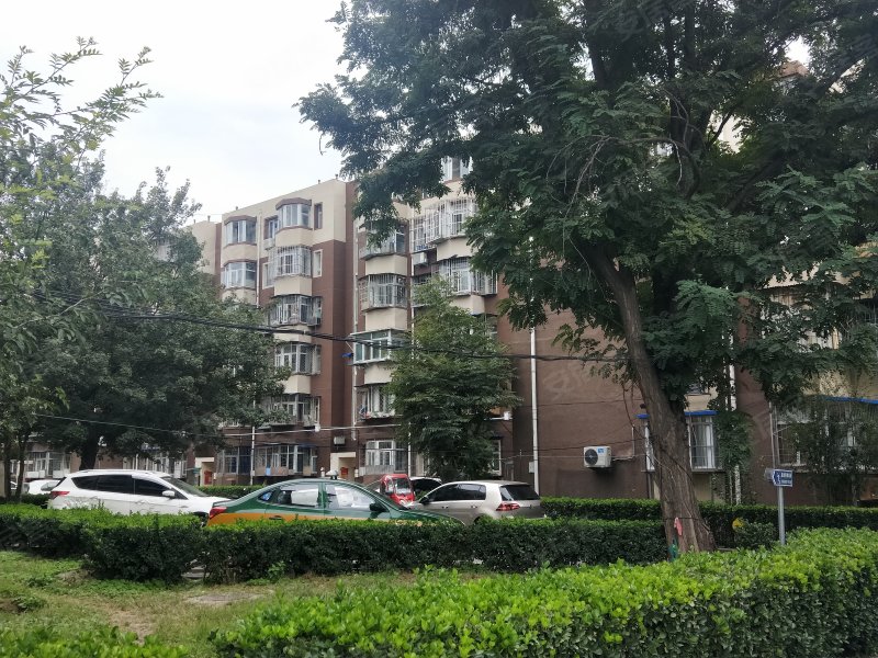 竹园小区,马连洼北路-北京竹园小区二手房,租房,房价-北京安居客