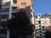 三叉街小区图片