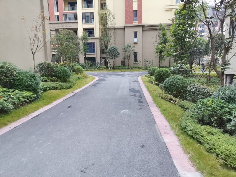 紫云台二期(南苑),蒋家坝街53号-广安紫云台二期(南苑)二手房,租房