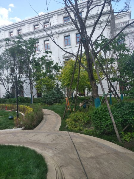 飞达城,查干淖尔大街-松原飞达城二手房,租房,房价-松原安居客