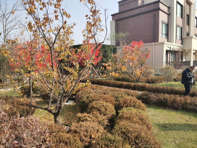 公园1953公园墅(别墅)