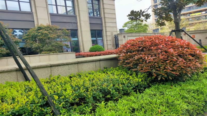 玉兰西花园(二三期),观顺道,近立信大道-无锡玉兰西花园(二三期)二手