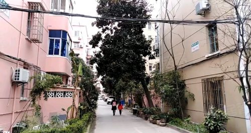 东沟三村 东沟三村1 23号 上海东沟三村二手房 租房 房价 上海安居客 东沟三村 东沟三村1 23号 上海东沟三村二手房 租房 房价 上海安居客