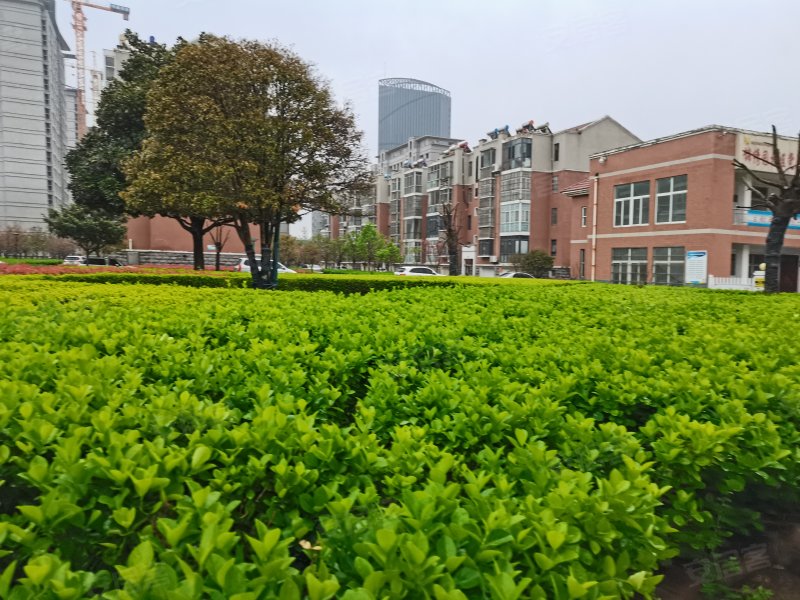 锦绣园(公寓住宅)