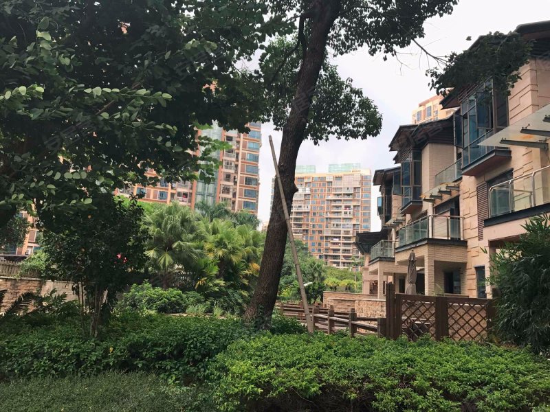 浔兴奥林春天,迎宾路532号-泉州浔兴奥林春天二手房,租房,房价-泉州