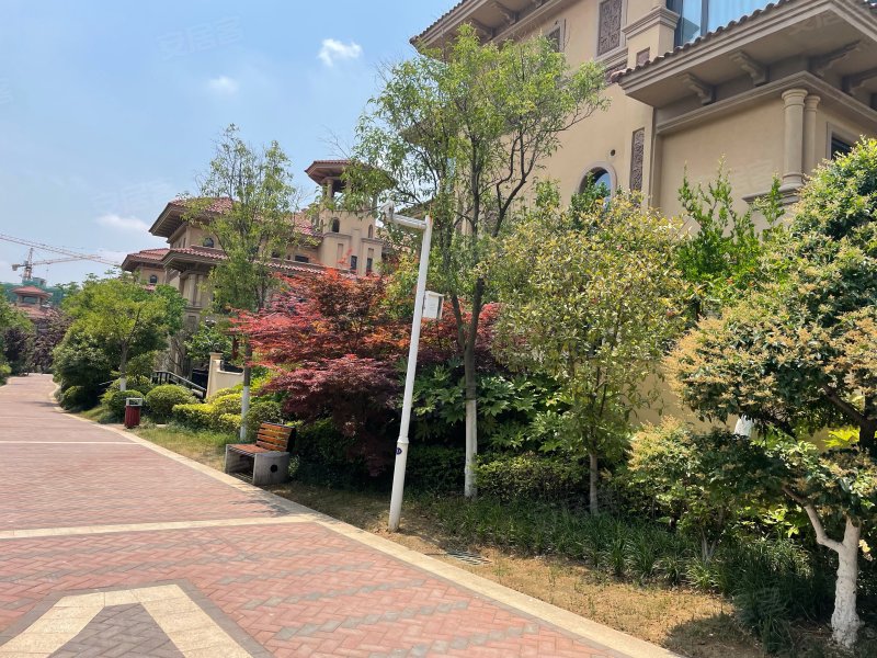 半山御景(别墅),华山北路-徐州半山御景(别墅)二手房,租房,房价-徐州