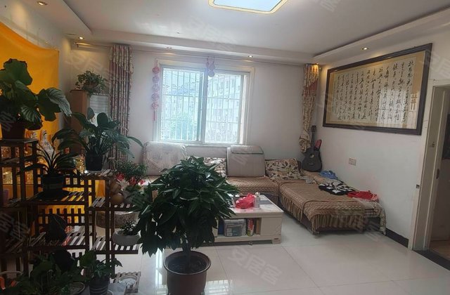 东边户，  沛  ，公摊少三楼115平带储藏室50多 