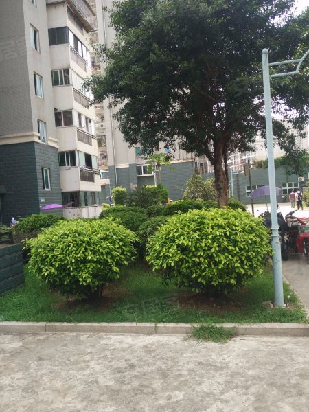 西园雅居西区,玄南岭路630号-福州西园雅居西区二手房,租房,房价-福州