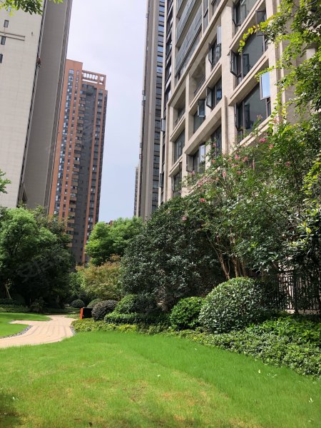 华发外滩首府,永泰路-武汉华发外滩首府二手房,租房,房价-武汉安居客