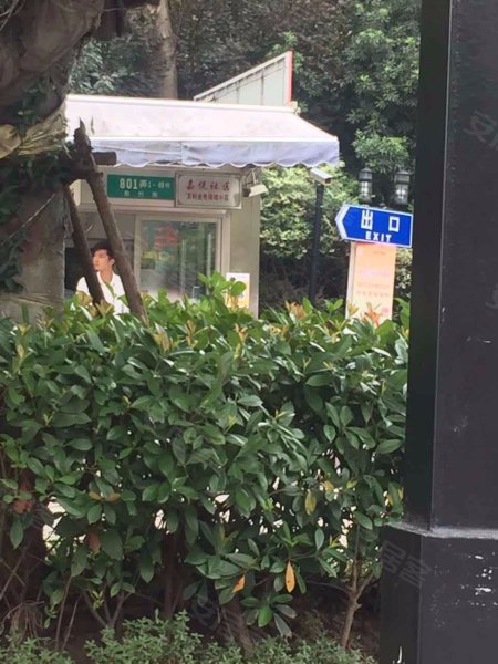 万科金色领域(西区) 