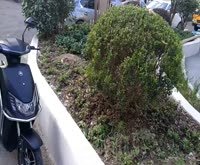 崮山小区一街坊 