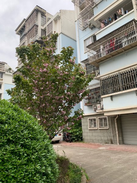 姚江花园(江北)